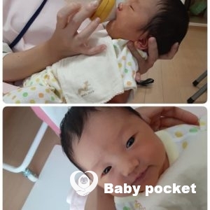 せんかちゃん誕生1ヶ月のご報告