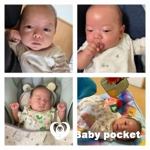 ティガーくんお食い初めのご報告