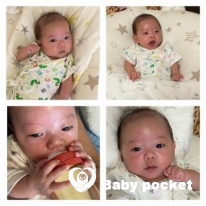 ティガーくんお食い初めのご報告