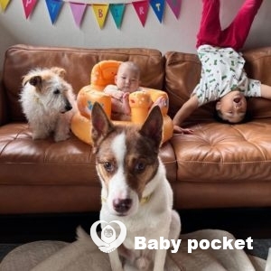 こだまくん🌟6歳