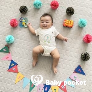 こむぎ君 ハーフバースデーのご報告