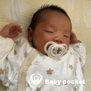 ハレくんをお迎えしました