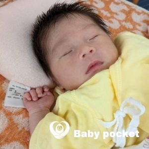 ほしらんちゃんをお迎えしました⭐