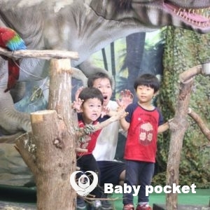 🌟まかなにくん4歳になりました🌟