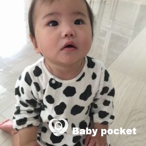 スイカくん1歳のご報告