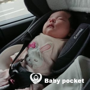 ニャーちゃんお宮参りに行ってきました