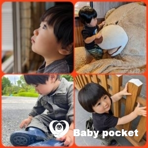 トム君 1歳6ヶ月💕