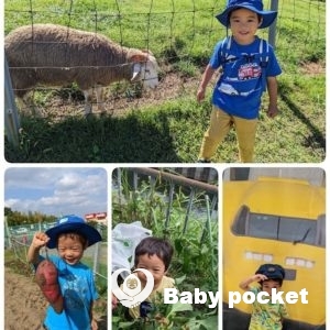 モント君3歳バースデー