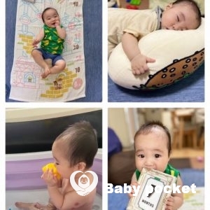 セキセイ君と入籍のご報告