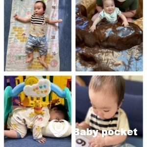 セキセイ君と入籍のご報告