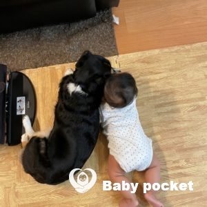 バニアンツリーくんお宮参り・ハーフバースデイ・離乳食開始のご報告