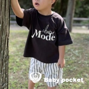 ディキシーくん6歳のご報告