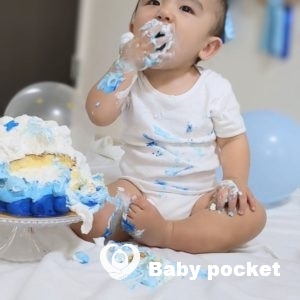 のすけ君一歳のお誕生日を迎えました