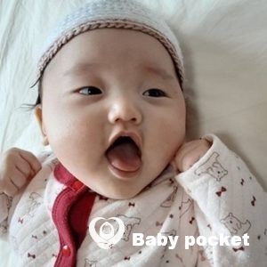 せんかちゃん3ヶ月のご報告