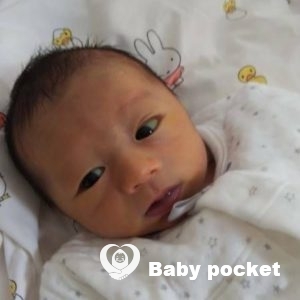 アンパサンドくんをお迎えしました。