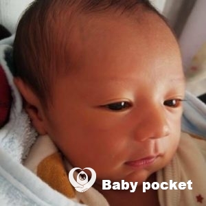 アンパサンドくんをお迎えしました。