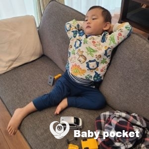 のっぽくん 1歳11ヶ月のご報告