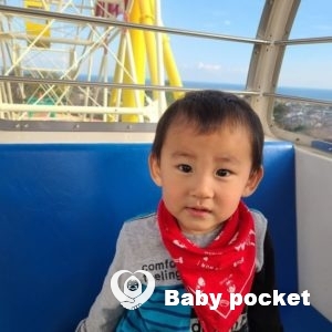 のっぽくん 1歳11ヶ月のご報告