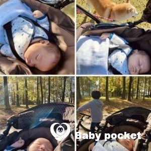 ハレくん 2ヶ月のご報告