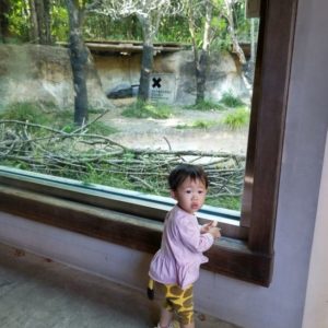 ジェナちゃん1歳10か月の近況報告