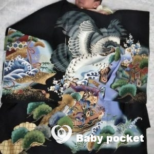 クローバー君 1ヶ月検診とお宮参り