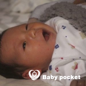 ダブくんをお迎えしました!