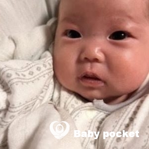 レモンイエローちゃんをお迎えしました