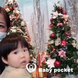 ルターくんをお迎えして1年。1歳9ヶ月になりました