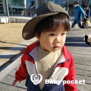 ルターくんをお迎えして1年。1歳9ヶ月になりました