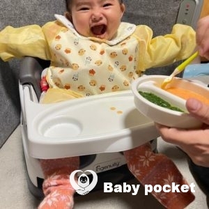 ホルンフェルスちゃんの近況