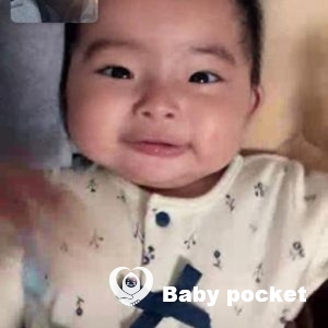 ホルンフェルスちゃんの近況