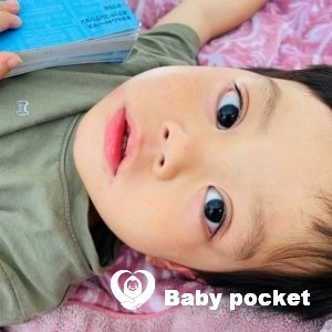 シルバーくん3歳