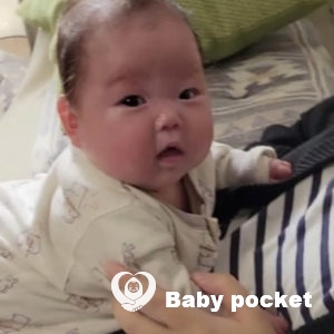 レモンイエローちゃん お迎えから1ヶ月のご報告