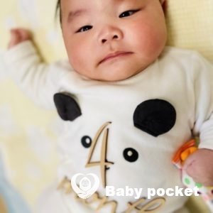 ハレくん 4ヶ月のご報告