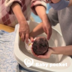 ランベンダーくんをお迎えしました!