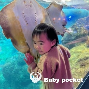 フェンネルちゃん2歳になりました🍀