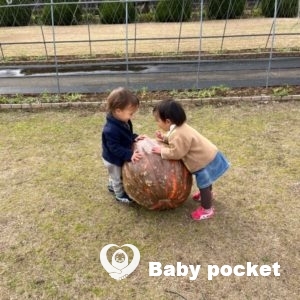 フェンネルちゃん2歳になりました🍀