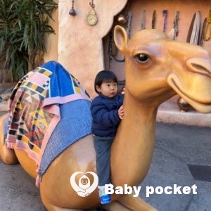 オウカ君が2歳の誕生日を迎えました!