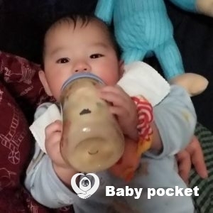 クローバー君 お食い初め