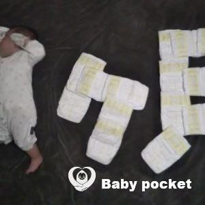 クローバー君 お食い初め