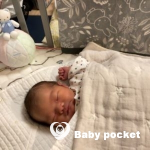 ヴィヒタくんをお迎えしました