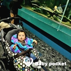 ☺️スマイリー君1才1ヶ月☺️