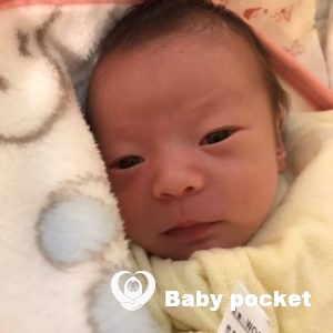 エンポリオくんをお迎えしました