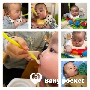 ハレくん 5ヶ月のご報告