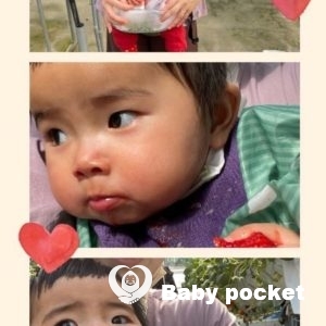 ホルンフェルスちゃんの近況と初節句