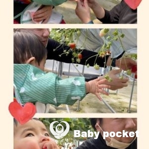 ホルンフェルスちゃんの近況と初節句