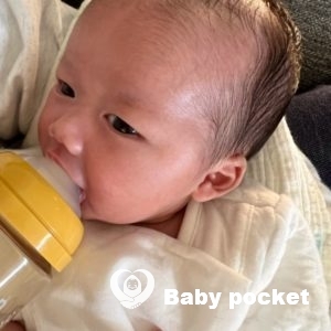 ラベンダーくん お迎え後1か月のご報告