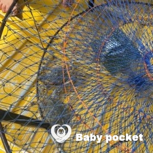 ナムくんのオーストラリア生活