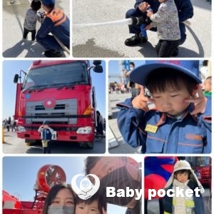 ⭐︎ロコくん、2歳半になりました⭐︎