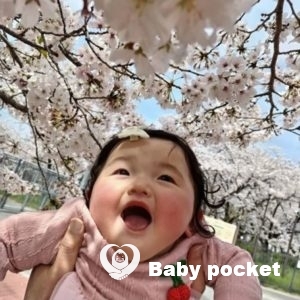 せんかちゃん入籍のご報告